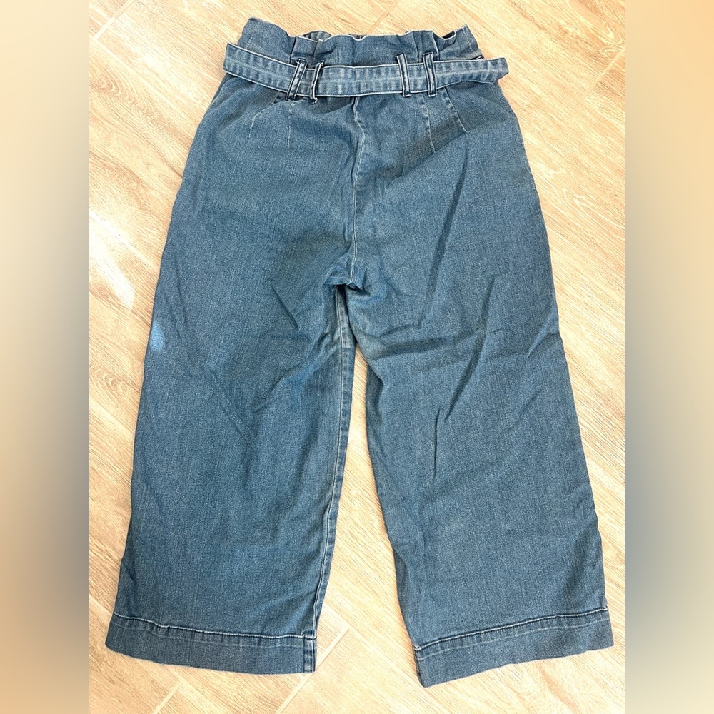 Pilcro and The Letterpress Anthropologie Wide-Leg High-Waisted Pants - Picture 7 of 8